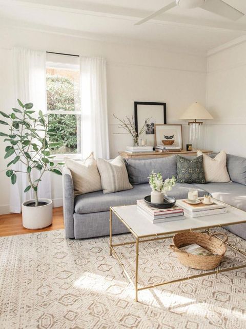 Modern Living Room - Ficus Audrey - Modern Farmhouse - Pinterest Home ... in Modern Living Room Design Ideas Pinterest